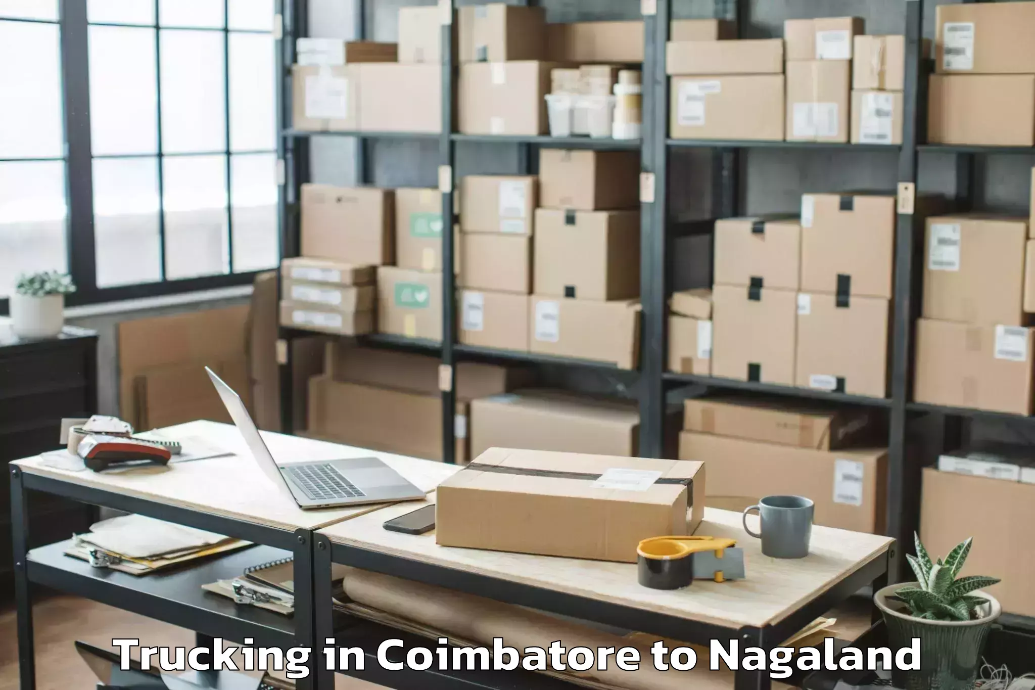 Hassle-Free Coimbatore to Zunheboto Trucking